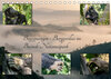 Buchcover Begegnungen - Berggorillas im Bwindi Nationalpark (Tischkalender 2019 DIN A5 quer)