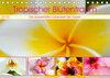 Buchcover Tropischer Blütentraum (Tischkalender 2019 DIN A5 quer)