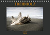 Buchcover Treibholz Costa Rica (Tischkalender 2019 DIN A5 quer)