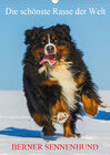 Buchcover Die schönste Rasse der Welt - Berner Sennenhund (Wandkalender 2019 DIN A3 hoch)