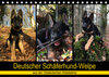 Buchcover Deutscher Schäferhund-Welpe - aus der Ostdeutschen Arbeitslinie (Tischkalender 2019 DIN A5 quer)