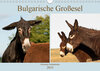 Buchcover Bulgarische Großesel - Schwarze Schönheiten (Wandkalender 2019 DIN A4 quer)