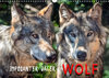 Buchcover Wolf - Imposanter Jäger (Wandkalender 2019 DIN A3 quer)