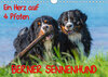 Buchcover Ein Herz auf 4 Pfoten - Berner Sennenhund (Wandkalender 2019 DIN A4 quer)