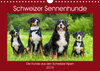 Buchcover Schweizer Sennenhunde - die Hunde aus den Schweizer Alpen (Wandkalender 2019 DIN A4 quer)