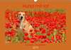 Buchcover Hund mit rot - Azawakh - Ridgeback (Wandkalender 2019 DIN A3 quer)