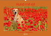 Buchcover Hund mit rot - Azawakh - Ridgeback (Wandkalender 2019 DIN A2 quer)