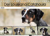 Buchcover Der Louisiana Catahoula Leopard Dog (Tischkalender 2020 DIN A5 quer)