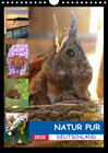 Buchcover Natur pur - Deutschland (Wandkalender 2020 DIN A4 hoch)