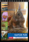 Buchcover Natur pur - Deutschland (Tischkalender 2020 DIN A5 hoch)