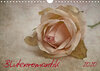 Buchcover Blütenromantik (Wandkalender 2020 DIN A4 quer)