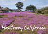 Buchcover Monterey California (Wandkalender 2020 DIN A3 quer)