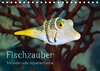 Buchcover Fischzauber - Wundervolle Aquarienfische (Tischkalender 2020 DIN A5 quer)