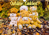 Buchcover Outdoor Teddies (Wandkalender 2020 DIN A4 quer)