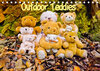 Buchcover Outdoor Teddies (Tischkalender 2020 DIN A5 quer)