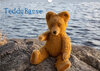 Buchcover Teddy Basse (Wandkalender 2020 DIN A3 quer)