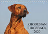 Buchcover Rhodesian Ridgeback 2020 (Tischkalender 2020 DIN A5 quer)