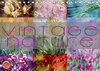 Buchcover Vintage Nature - Romantische Naturaufnahmen (Tischkalender 2020 DIN A5 quer)