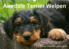 Buchcover Airedale Terrier Welpen (Wandkalender 2020 DIN A3 quer)