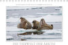 Buchcover Emotionale Momente: Die Tierwelt der Arktis / CH-Version (Tischkalender 2020 DIN A5 quer)