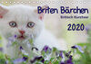 Buchcover Briten Bärchen – Britsch Kurzhaar 2020 (Tischkalender 2020 DIN A5 quer)