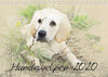 Buchcover Hundewelpen 2020 (Tischkalender 2020 DIN A5 quer)