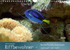Buchcover Riffbewohner - Bunte Fische, Anemonen und noch viel mehrAT-Version (Wandkalender 2020 DIN A4 quer)