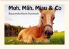Buchcover Muh, Mäh, Miau & Co (Wandkalender 2020 DIN A2 quer)