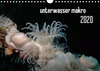 Buchcover unterwasser makro 2020 (Wandkalender 2020 DIN A4 quer)