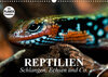 Buchcover Reptilien. Schlangen, Echsen und Co. (Wandkalender 2020 DIN A3 quer)