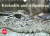 Buchcover Krokodile und Alligatoren (Wandkalender 2020 DIN A4 quer)