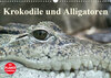 Buchcover Krokodile und Alligatoren (Wandkalender 2020 DIN A3 quer)
