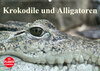 Buchcover Krokodile und Alligatoren (Wandkalender 2020 DIN A2 quer)