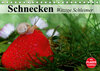 Buchcover Schnecken. Witzige Schleimer (Tischkalender 2020 DIN A5 quer)