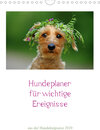 Buchcover Hundeplaner für wichtige Ereignisse (Wandkalender 2020 DIN A4 hoch)