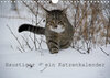 Buchcover Haustiger - Ein Katzenkalender (Wandkalender 2020 DIN A4 quer)