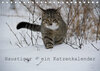 Buchcover Haustiger - Ein Katzenkalender (Tischkalender 2020 DIN A5 quer)
