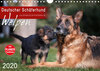 Buchcover Deutscher Schäferhund - Welpen (Wandkalender 2020 DIN A4 quer)