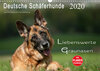 Buchcover Deutsche Schäferhunde - Liebenswerte Graunasen (Wandkalender 2020 DIN A3 quer)