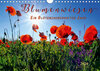 Buchcover Blumenwiesen – ein blütenzauberhaftes Jahr (Wandkalender 2020 DIN A4 quer)