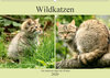 Buchcover Wildkatzen - Die lautlosen Jäger des Waldes (Wandkalender 2020 DIN A2 quer)