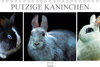 Buchcover Putzige Kaninchen - Artwork (Tischkalender 2020 DIN A5 quer)