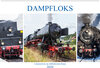 Buchcover Dampfloks im südbadischen Raum (Wandkalender 2020 DIN A2 quer)