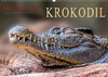 Buchcover Urzeitreptilien - Krokodil (Wandkalender 2020 DIN A2 quer)