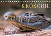Buchcover Urzeitreptilien - Krokodil (Tischkalender 2020 DIN A5 quer)