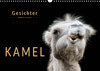 Buchcover Kamel Gesichter (Wandkalender 2020 DIN A3 quer)