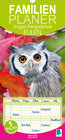 Buchcover Eulen: Vogel-Perspektive (Wandkalender 2020 , 21 cm x 45 cm, hoch)