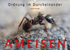 Buchcover Ameisen - Ordnung im Durcheinander (Wandkalender 2020 DIN A2 quer)