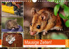 Buchcover Mausige Zeiten! Putzige Gesellen mit Knopfaugen (Wandkalender 2020 DIN A4 quer)
