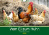 Buchcover Vom Ei zum Huhn. Die Entwicklung von Küken (Wandkalender 2020 DIN A4 quer)